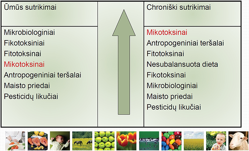 Web-pavojus-sveikatai