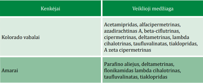 Web-pav2