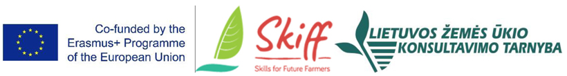 Web-logo-Skiff-visi-trys-kartu