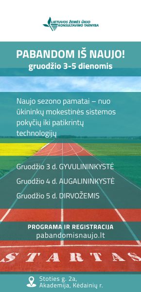 Pabandom iš naujo. Dešinės Antra dalis