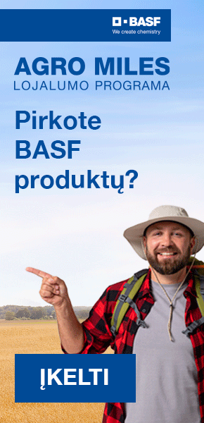BASF vertikalus. Havas Media