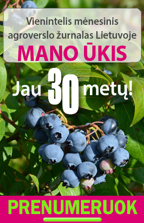 Mano ūkis