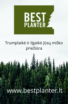 Best Planter